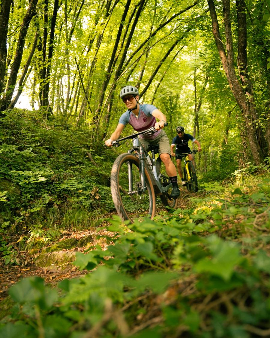 Eine Frau und ein Mann fahren mit Mountainbikes auf einem Waldpfad durch einen lichtdurchfluteten, grünen Wald.