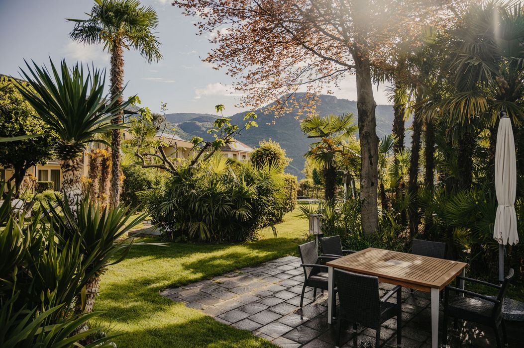 Una zona giardino soleggiata con una terrazza, un tavolo di legno, sedie e varie palme davanti a uno scenario montano.
