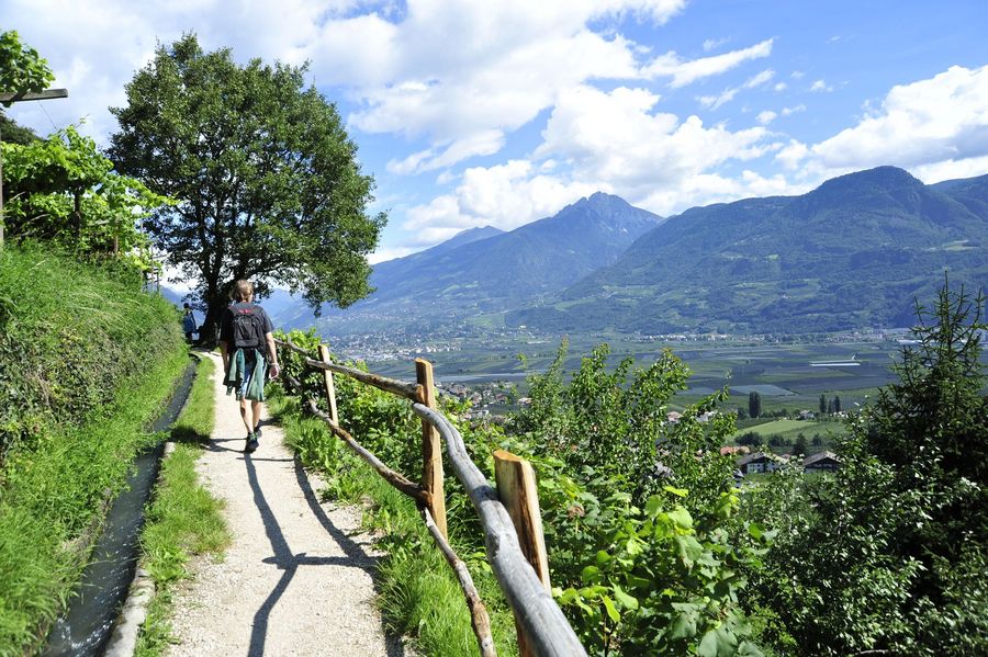 Ein Wanderer mit Rucksack geht einen sonnigen Weg entlang eines Waalwegs in Südtirol mit Blick auf das Etschtal und umliegende Berge.