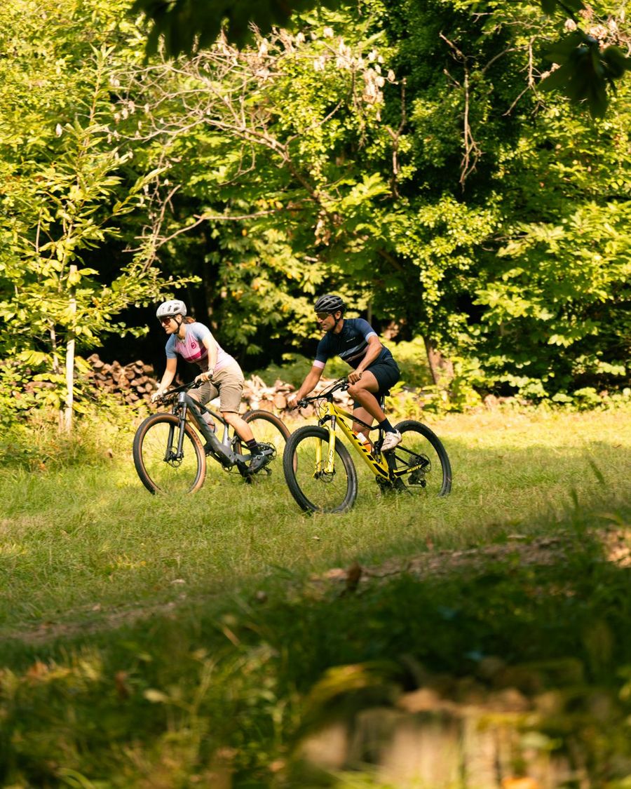 Ein Mann und eine Frau fahren auf Mountainbikes durch einen grünen Wald.
