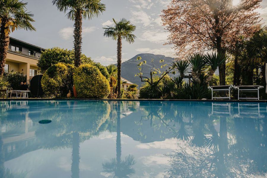 Blick über einen ruhigen Swimmingpool in einem Garten mit Palmen und anderen Bäumen, im Hintergrund erhebt sich ein großer Berg bei sonnigem Wetter.